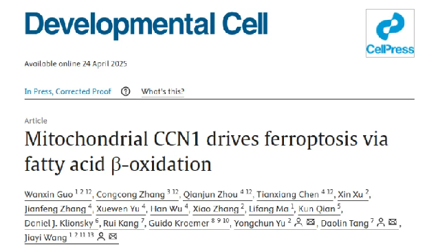 Developmental Cell | 亿纳谱团队发现铁死亡代谢调控新机制